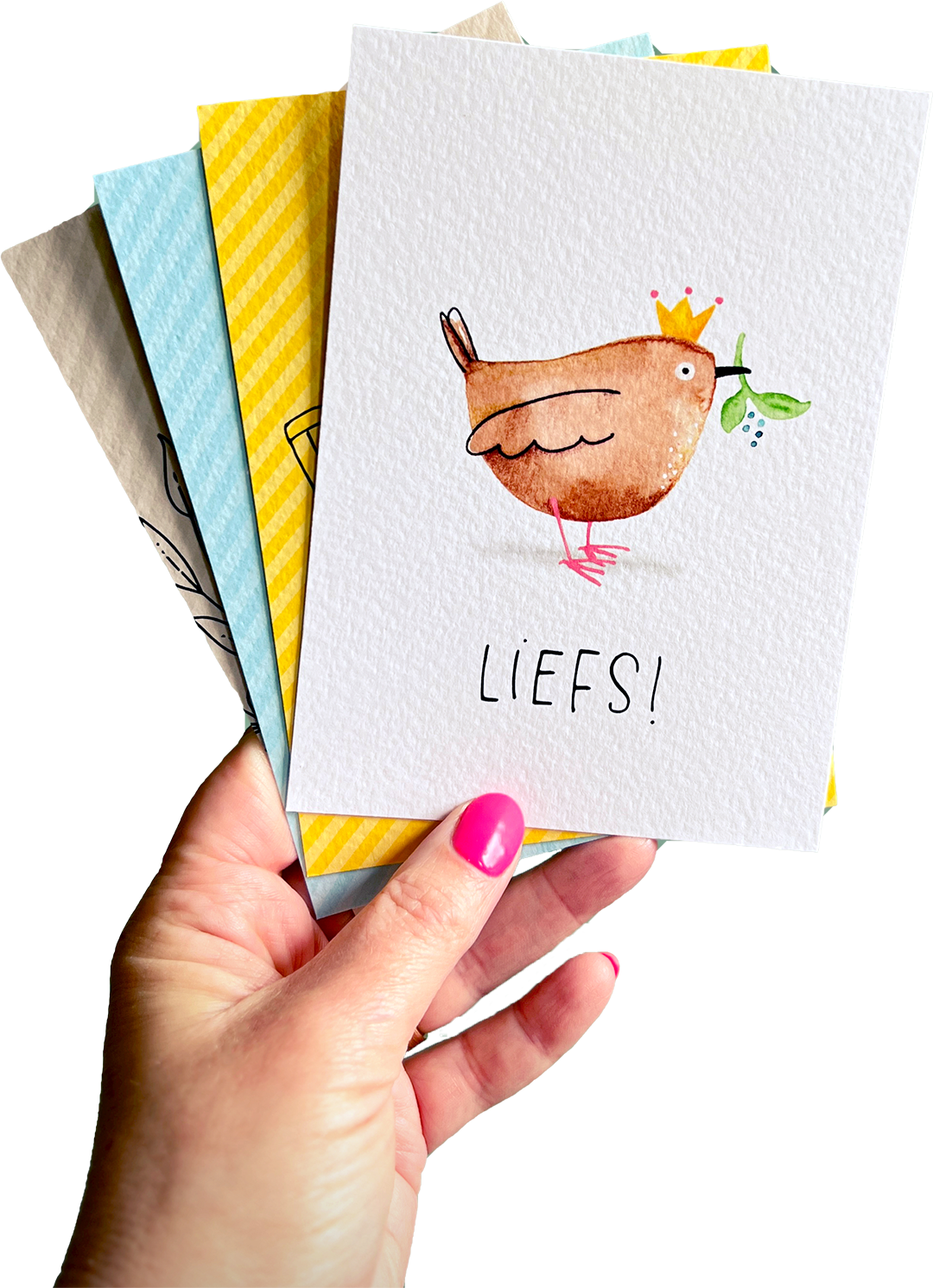 Foto van een hand die vier kaarten vasthoudt. Op de voorste kaart staat de illustratie van een winterkoninkje.