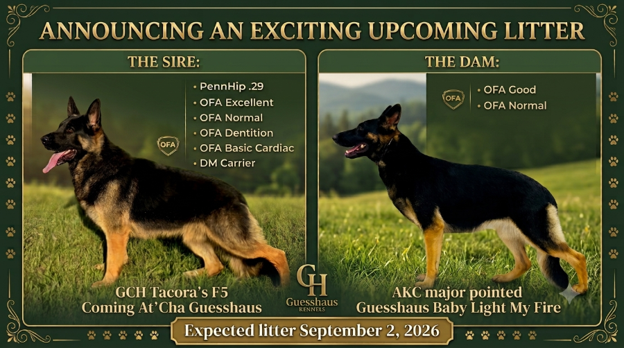 Litter Announcement