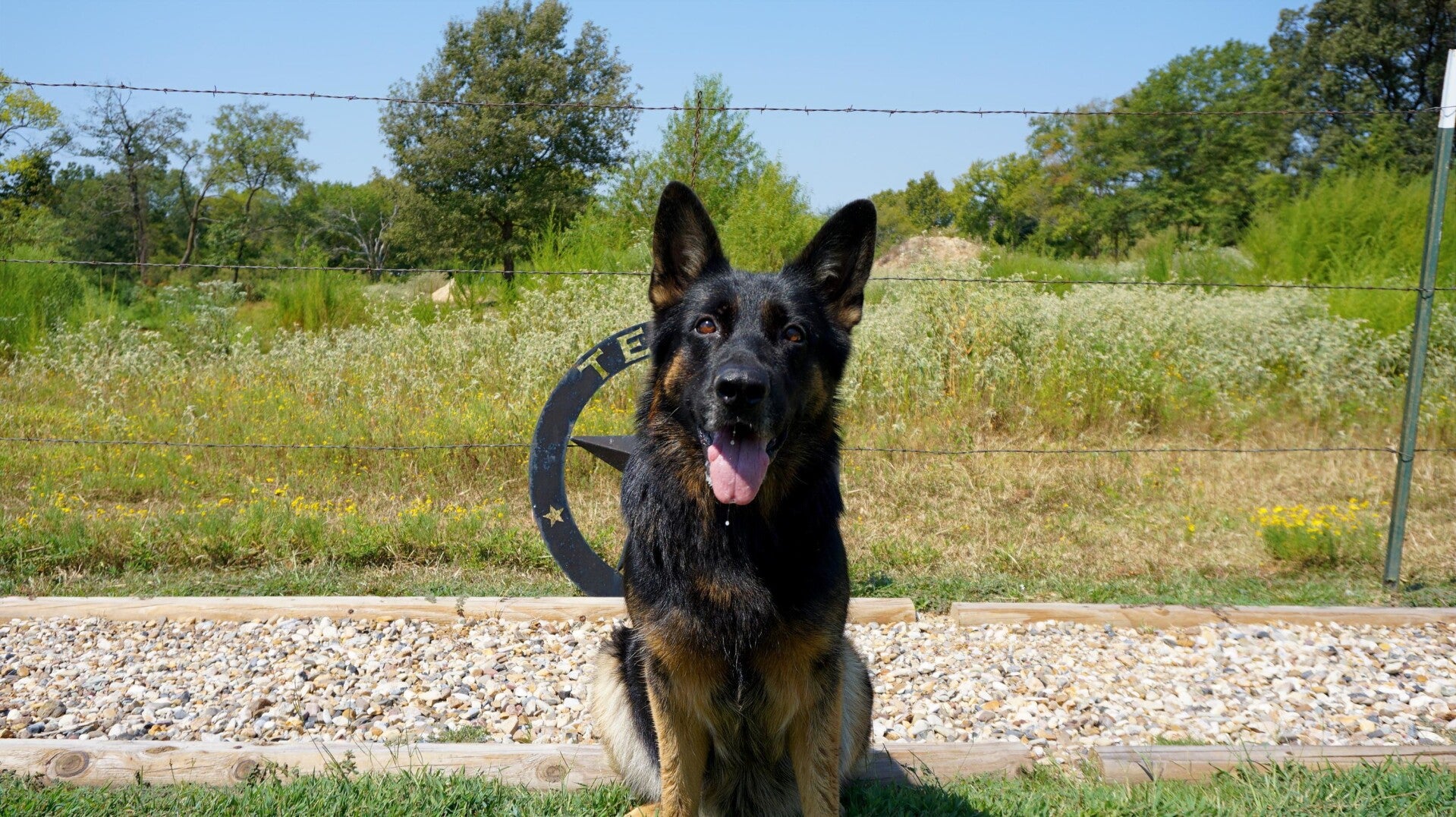 Oakley Vom Guesshaus
