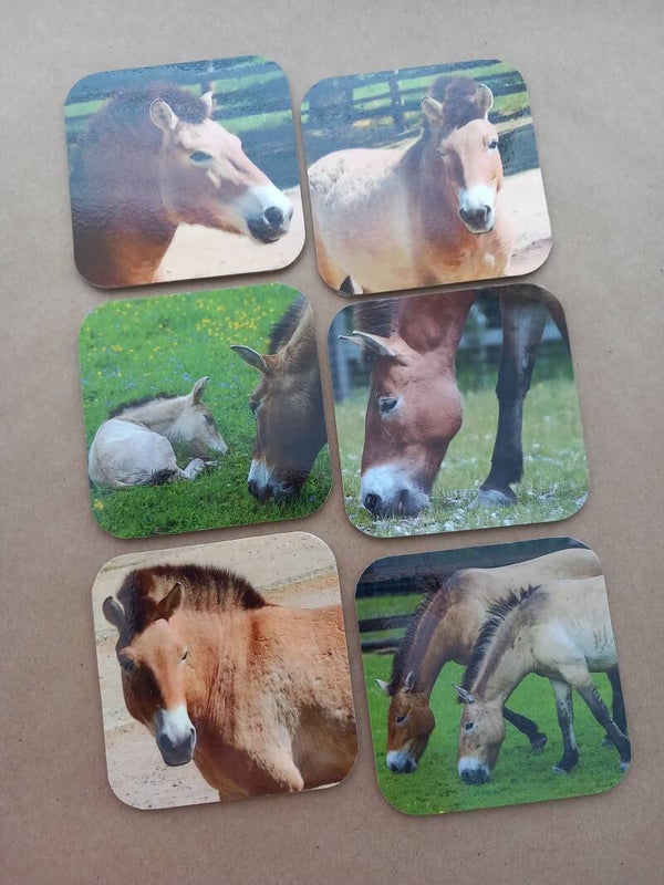 Onderzetters Paarden Nr. 98A