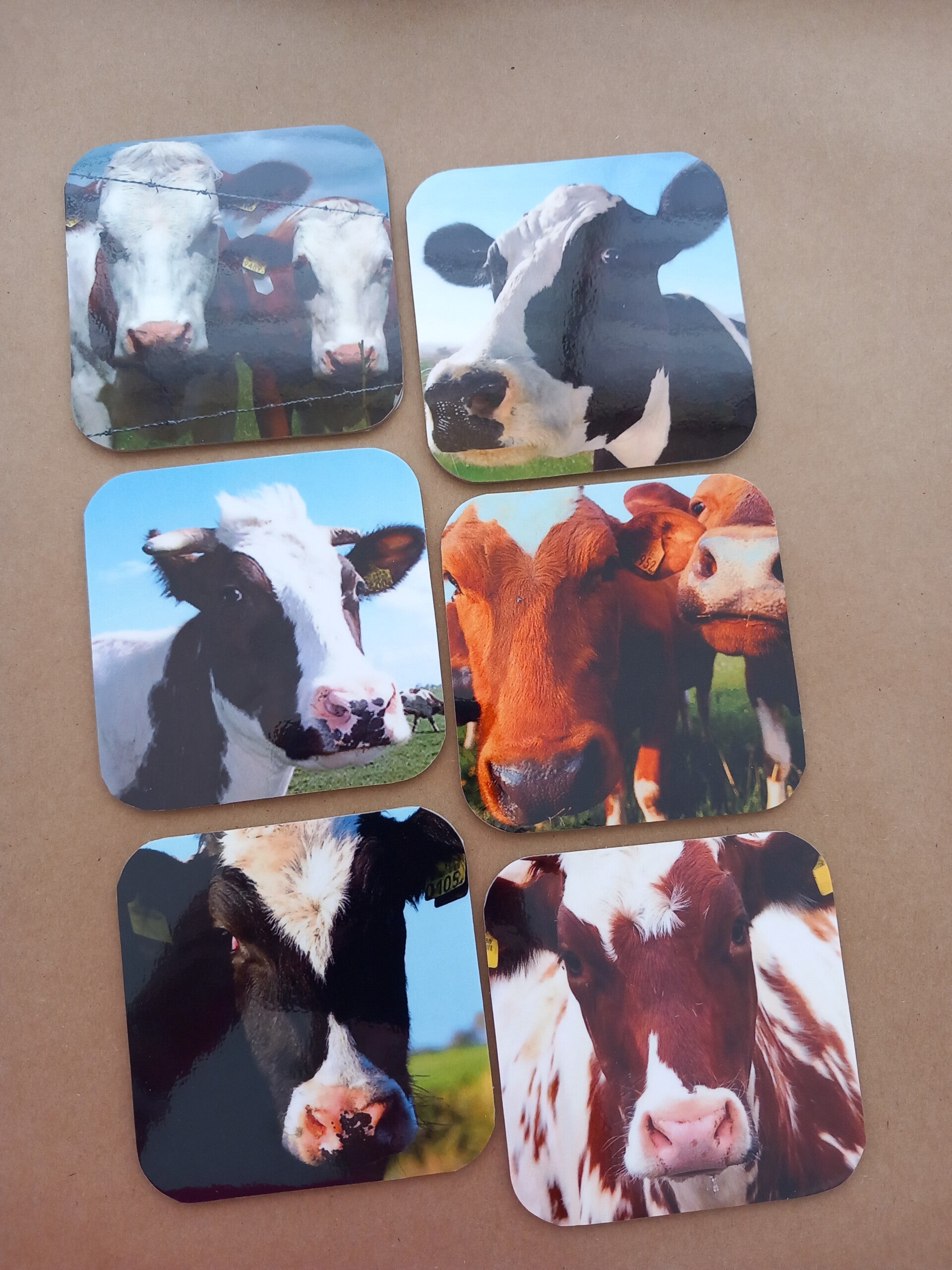 Onderzetters Koeien Nr. 30