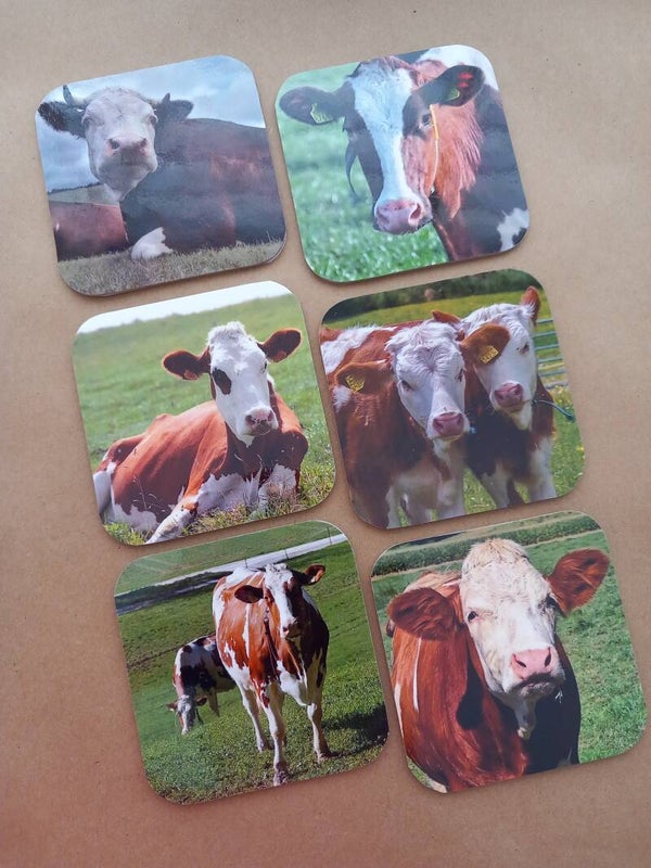 Onderzetters Koeien Nr. 30B