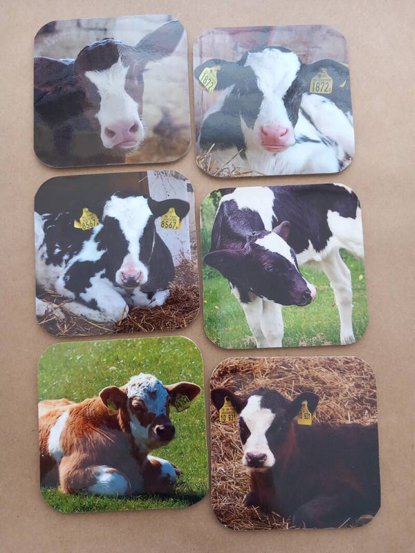 Onderzetters Koeien Nr. 30C