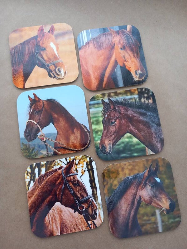 Onderzetters Paarden Nr. 46
