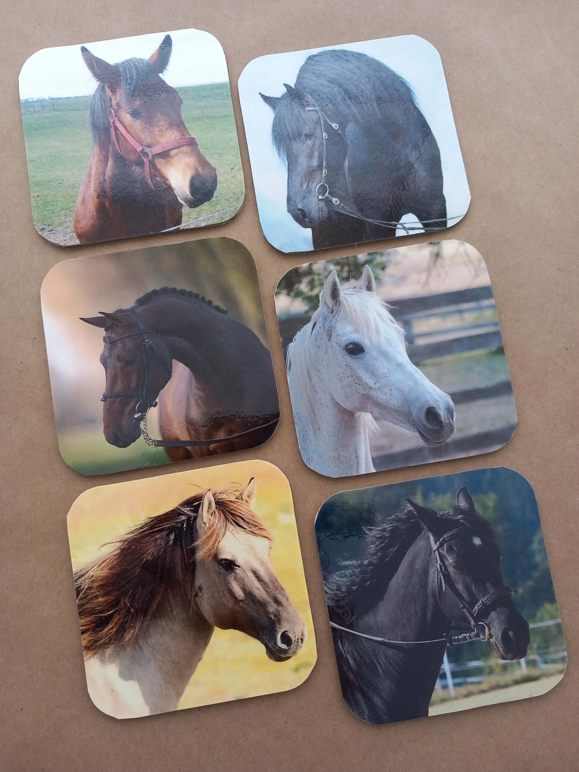 Onderzetters Paarden Nr. 47