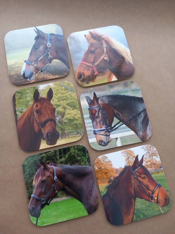 Onderzetters Paarden Nr. 48