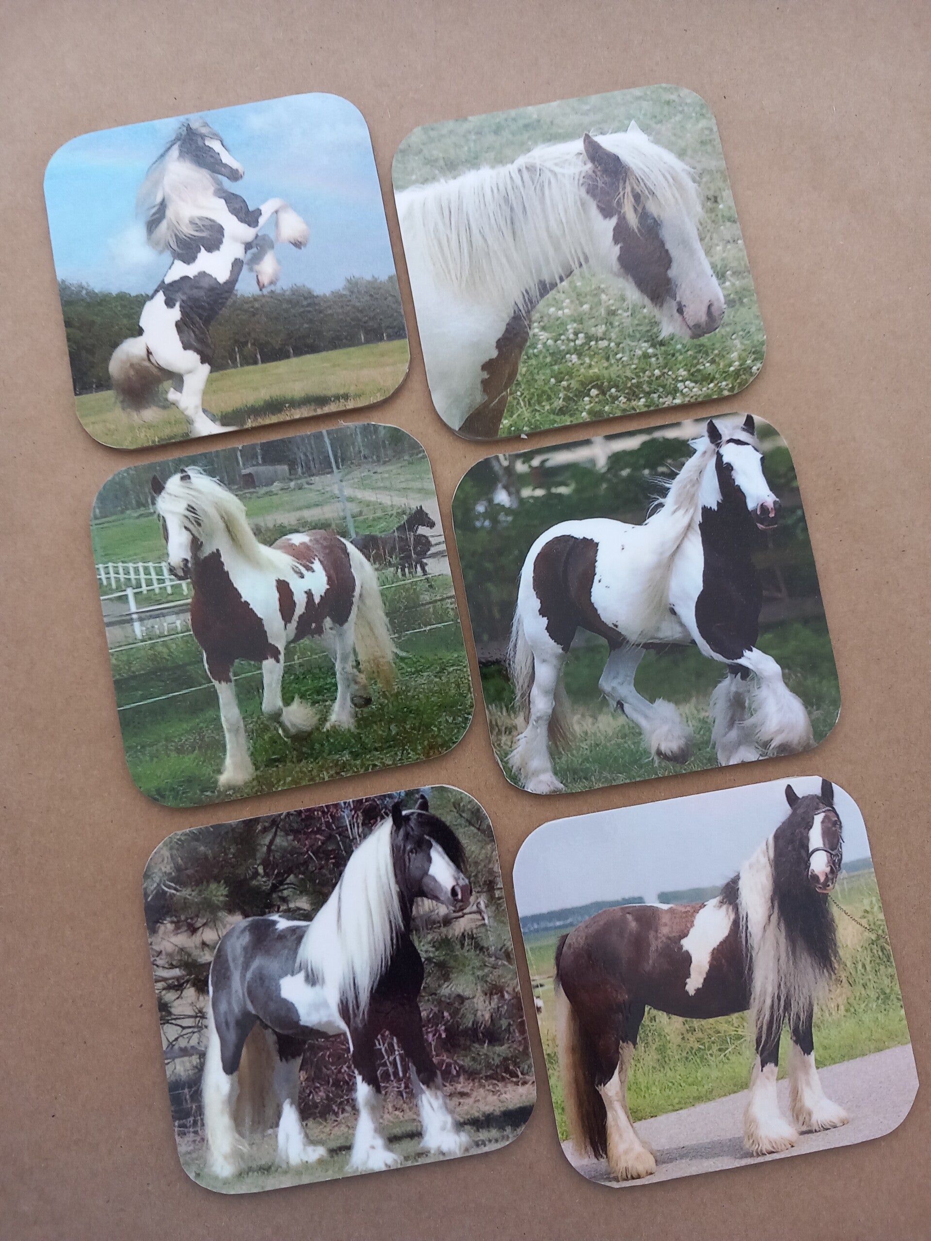 Onderzetters Paarden Nr. 50A