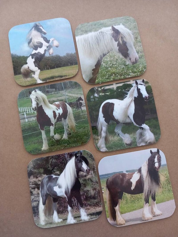 Onderzetters Paarden Nr. 50A