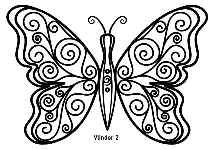 vlinder2-3.jpg