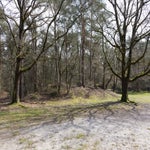2022-04dc-paulhuismanfotografie043.jpg