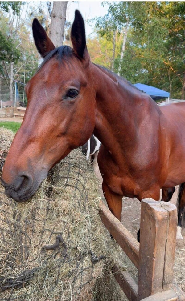 Hope Sponsor – $100/month