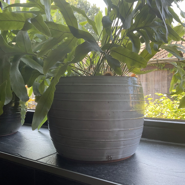 Bloempot