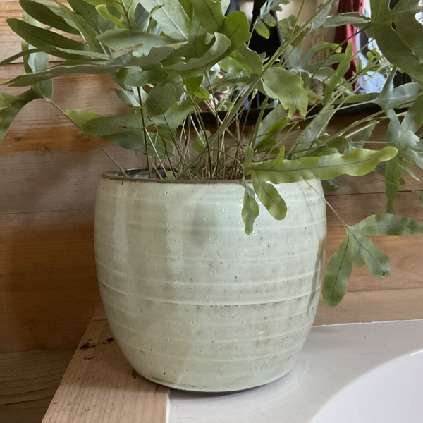 Bloempot