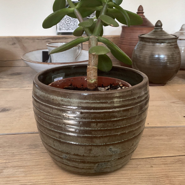 Bloempot