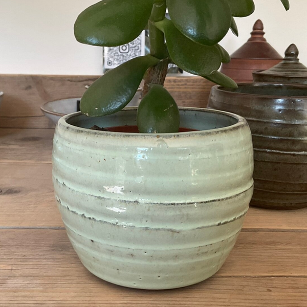 Bloempot