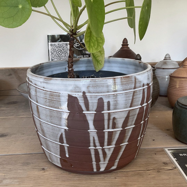 Bloempot