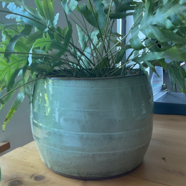 Bloempot