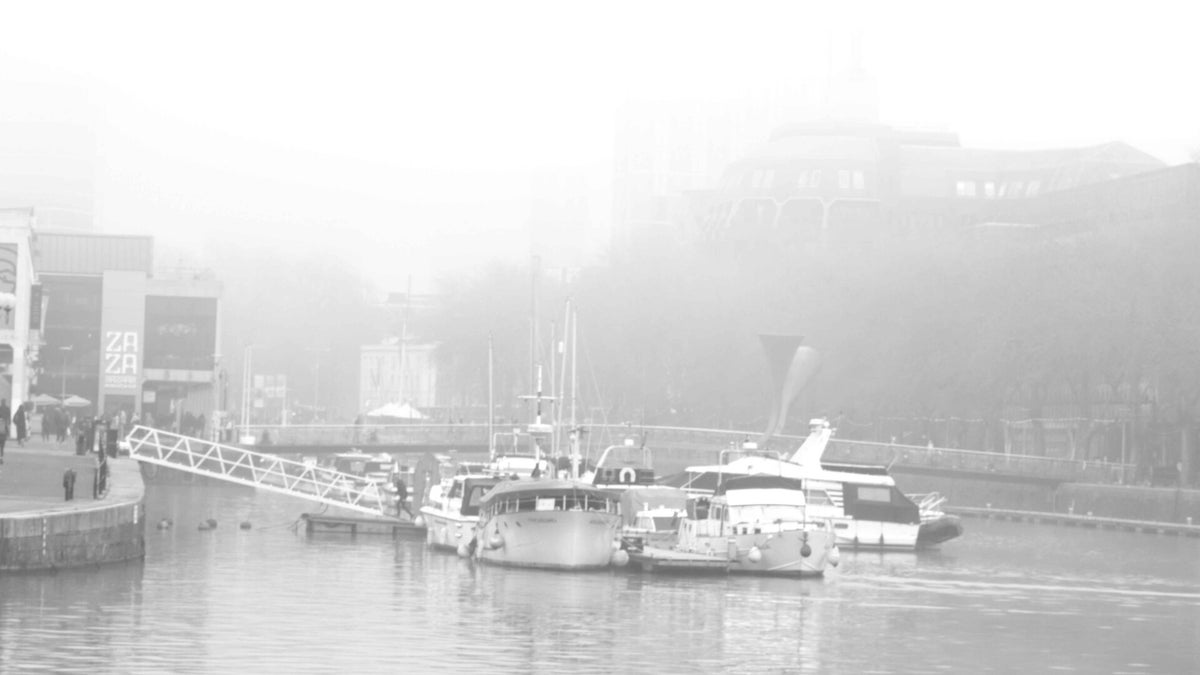 Legal Documents By Misty Morning Photography legal-documents-by-misty-morning-photography