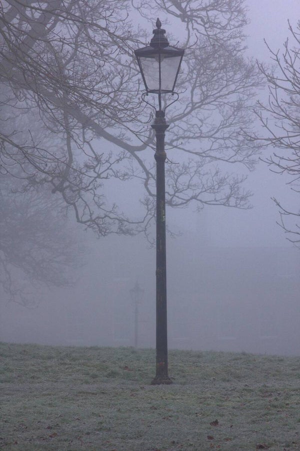 Misty Lampost#1