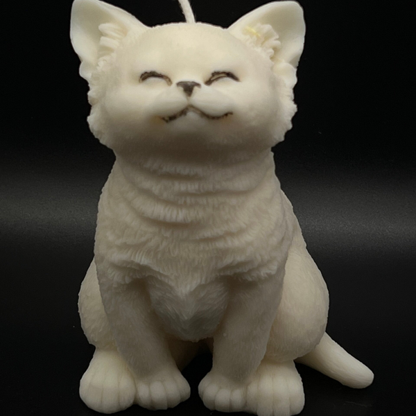 KITTEN