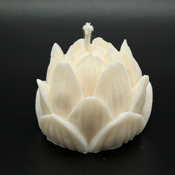 LOTUS