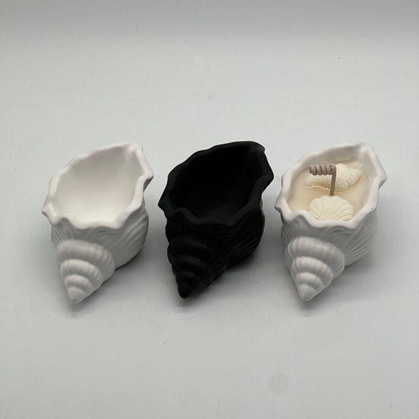 Schelp versie 1