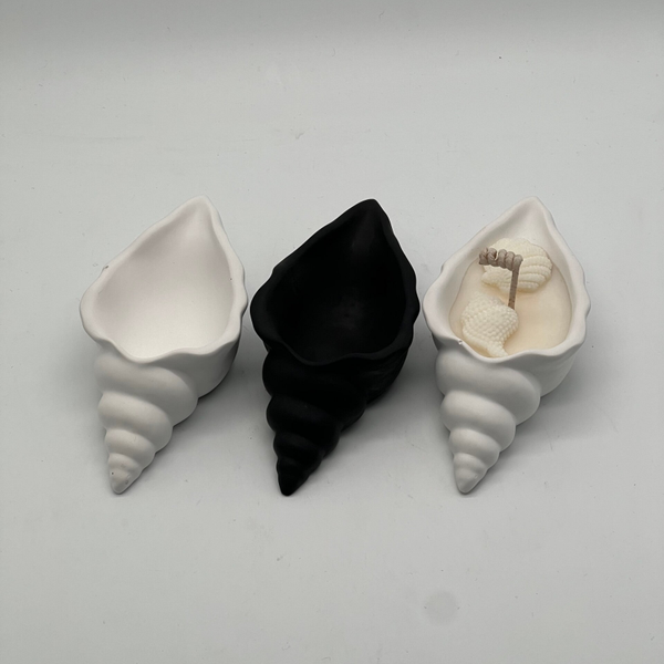 Schelp versie 2
