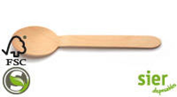 Lepel hout 160 mm ds á 100 bio disposable