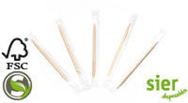 Tandenstoker, p/s verpakt ds. à 1000