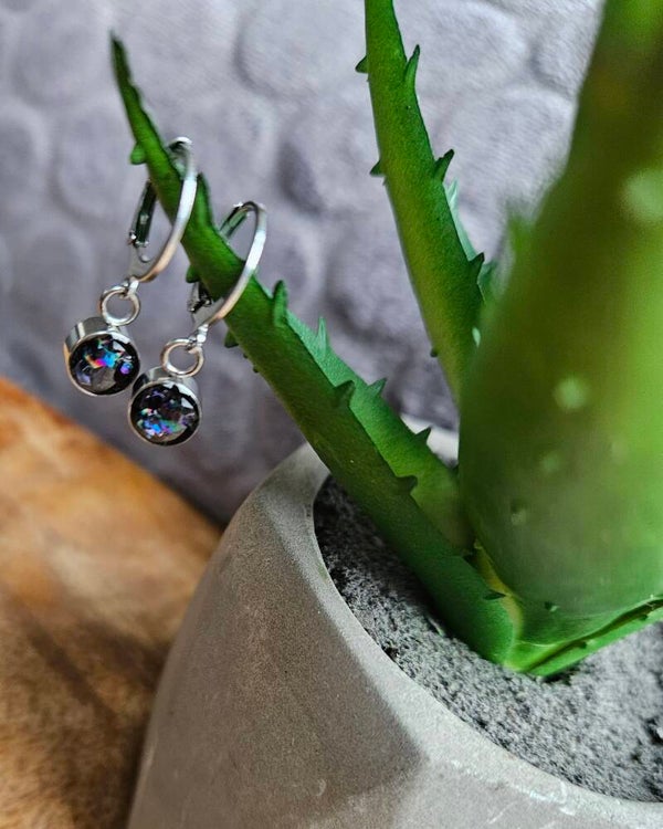 Oorbellen; holo silver