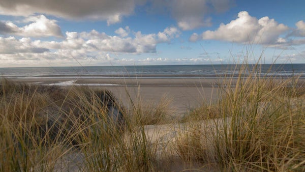 Dans les dunes