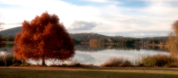 Autumn Colour