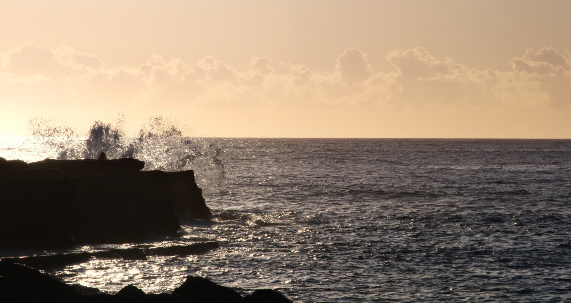 Morning Waves, Shellharbour