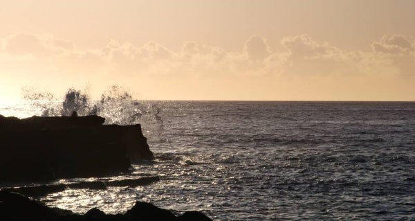 Morning Waves, Shellharbour