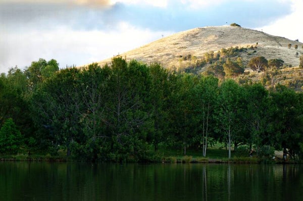 Mount Taylor Reflection