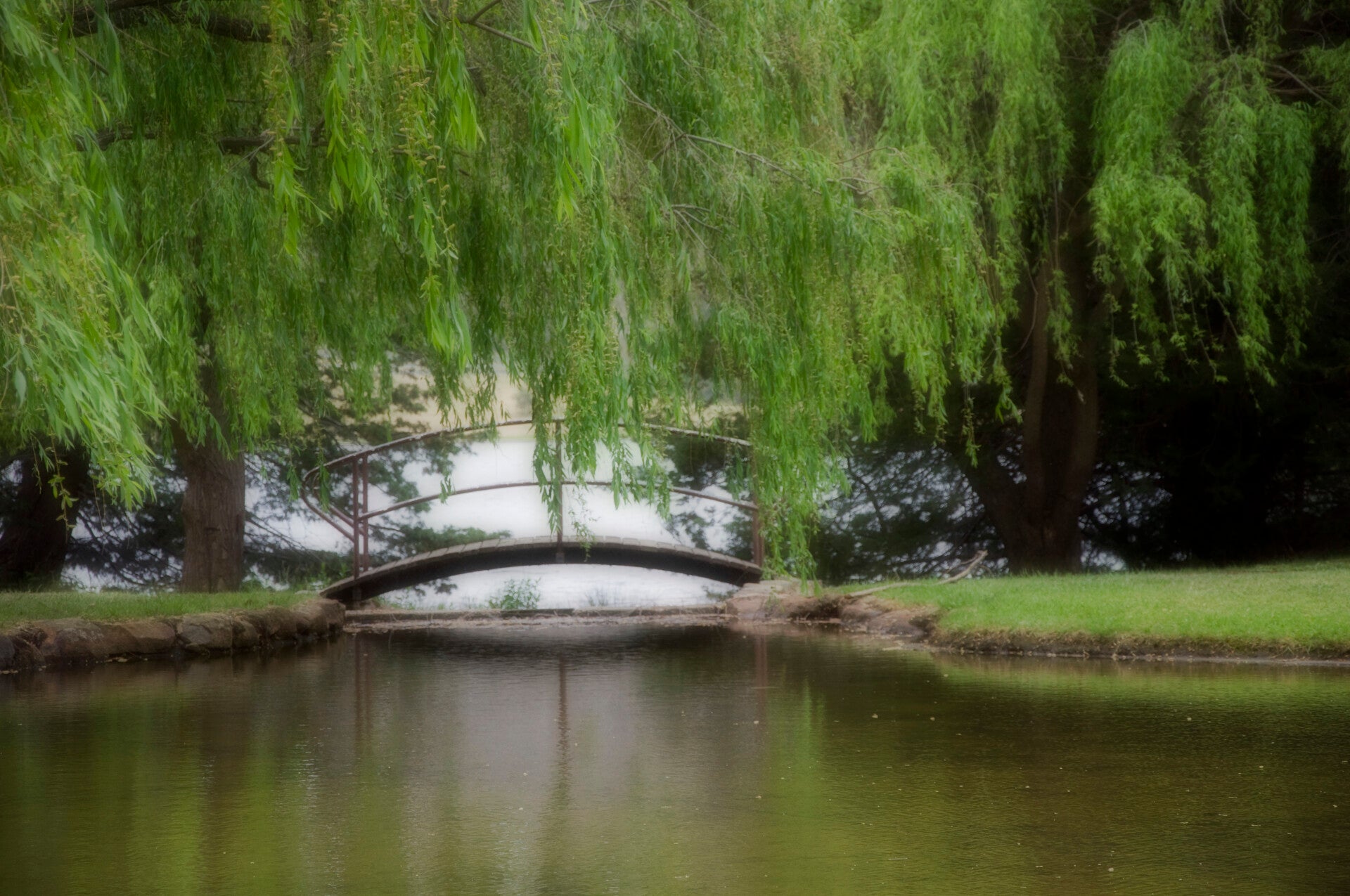 Echoes of Monet