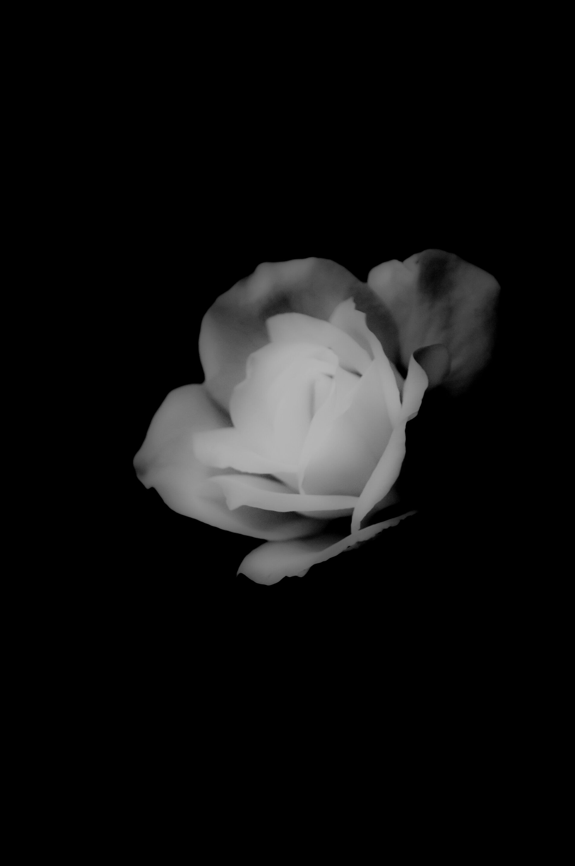 Purity