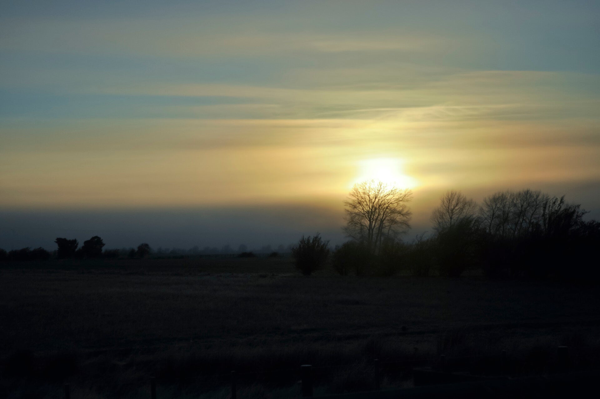 Morning Sun