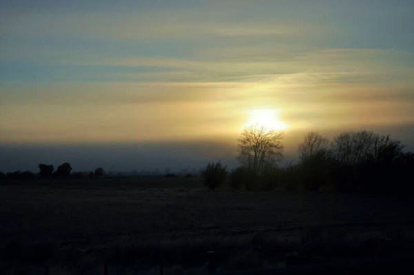 Morning Sun