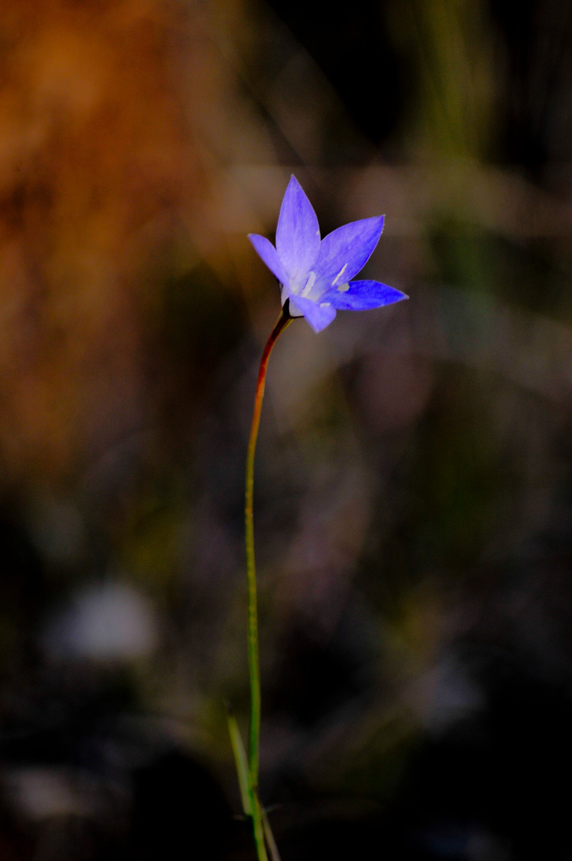 Alone and Blue