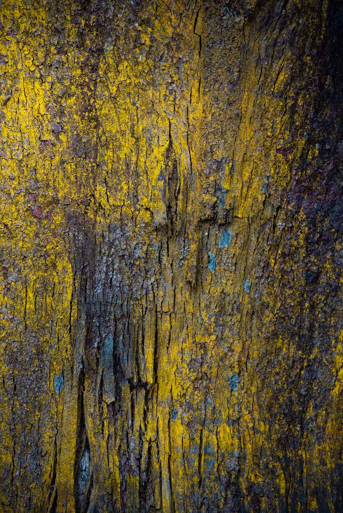 Yellow and blue