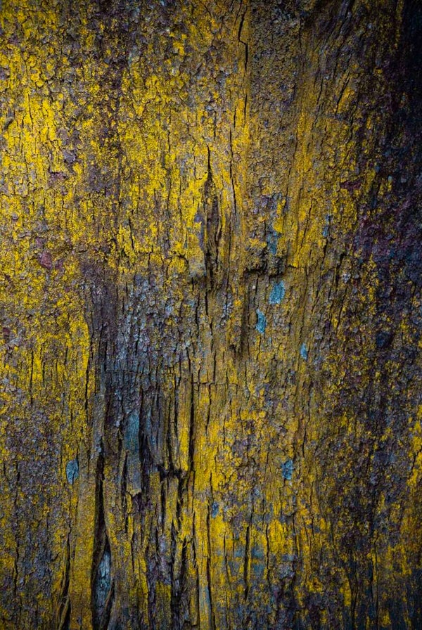 Yellow and blue