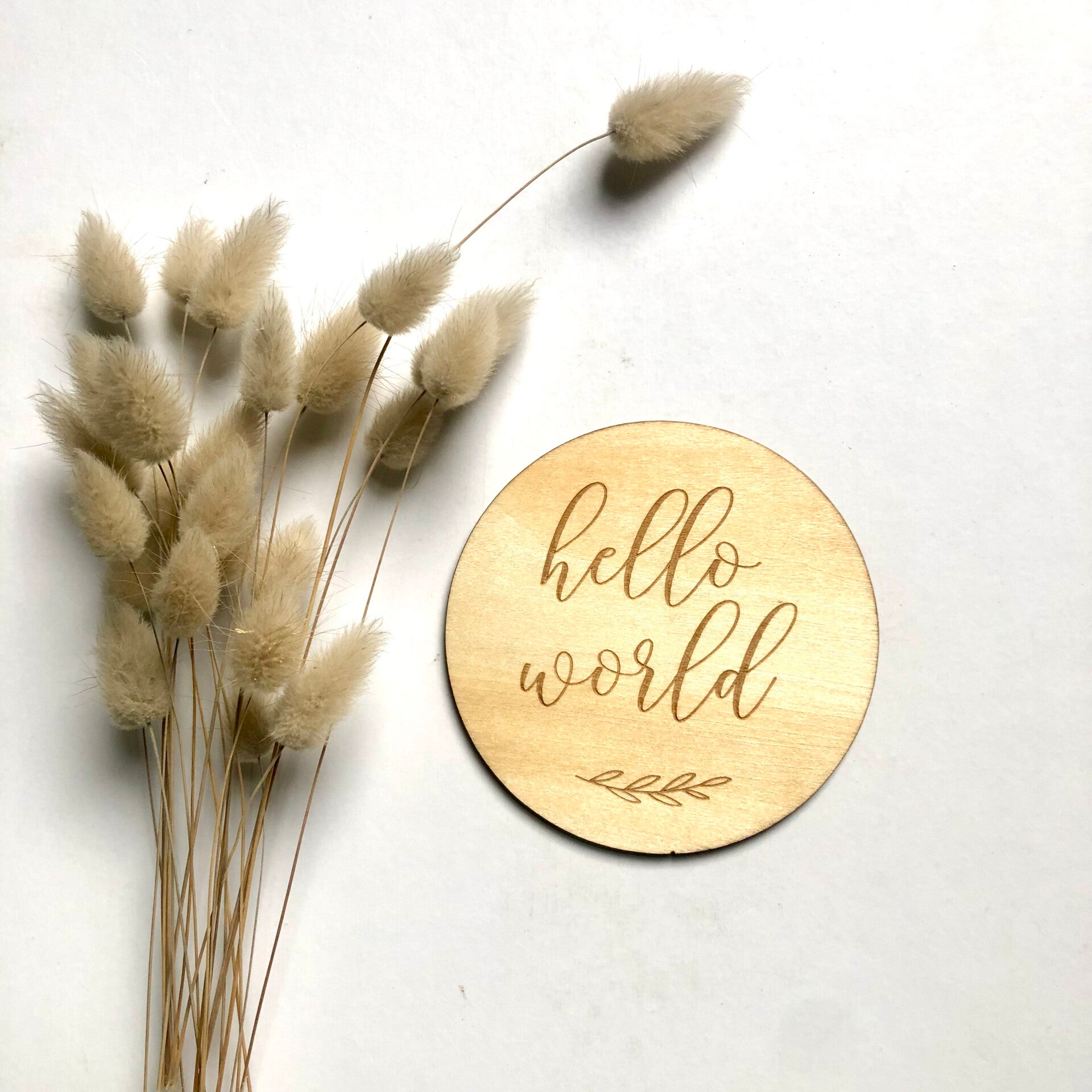 Hello World Vine Wooden Announcement Disc