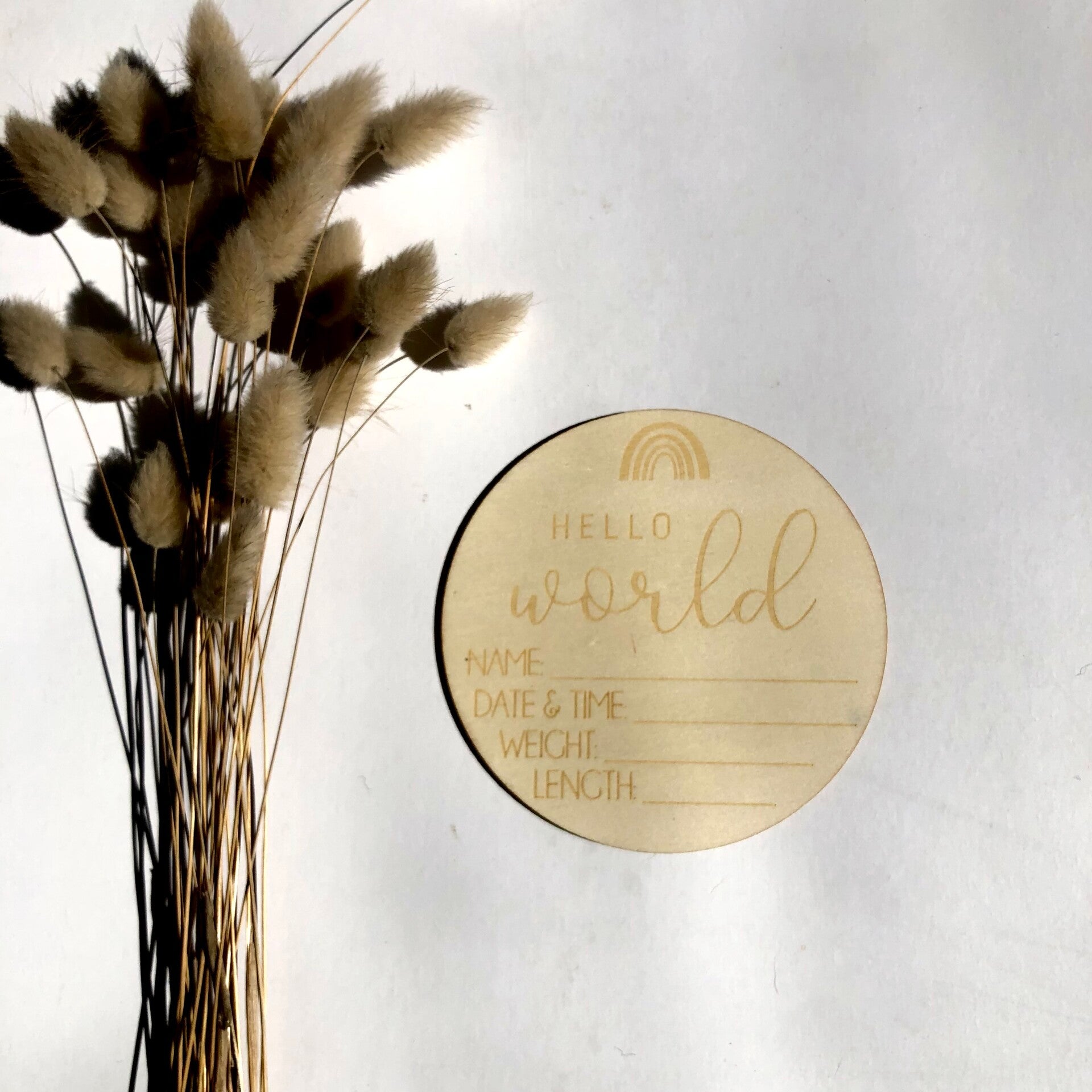 Hello World Rainbow CUSTOMISABLE Wooden Announcement Disc