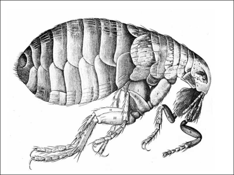 Slavernijverleden, slavenhandel
