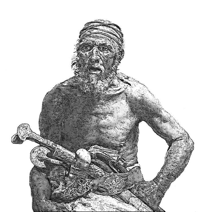 Slavernijverleden, slavenhandel