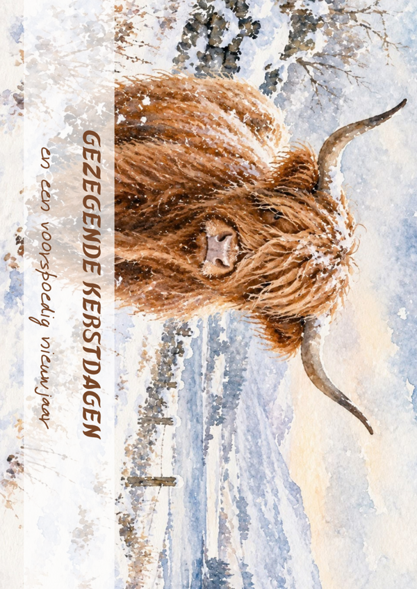 Kerstkaart schotse hooglander liggend