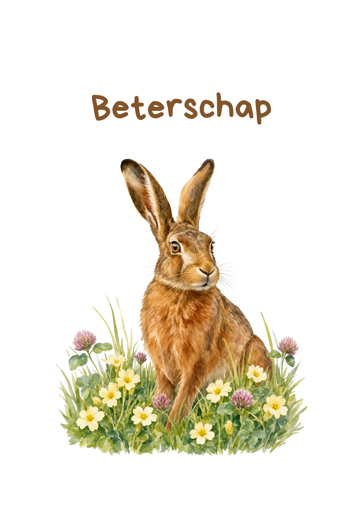 Beterschap haas