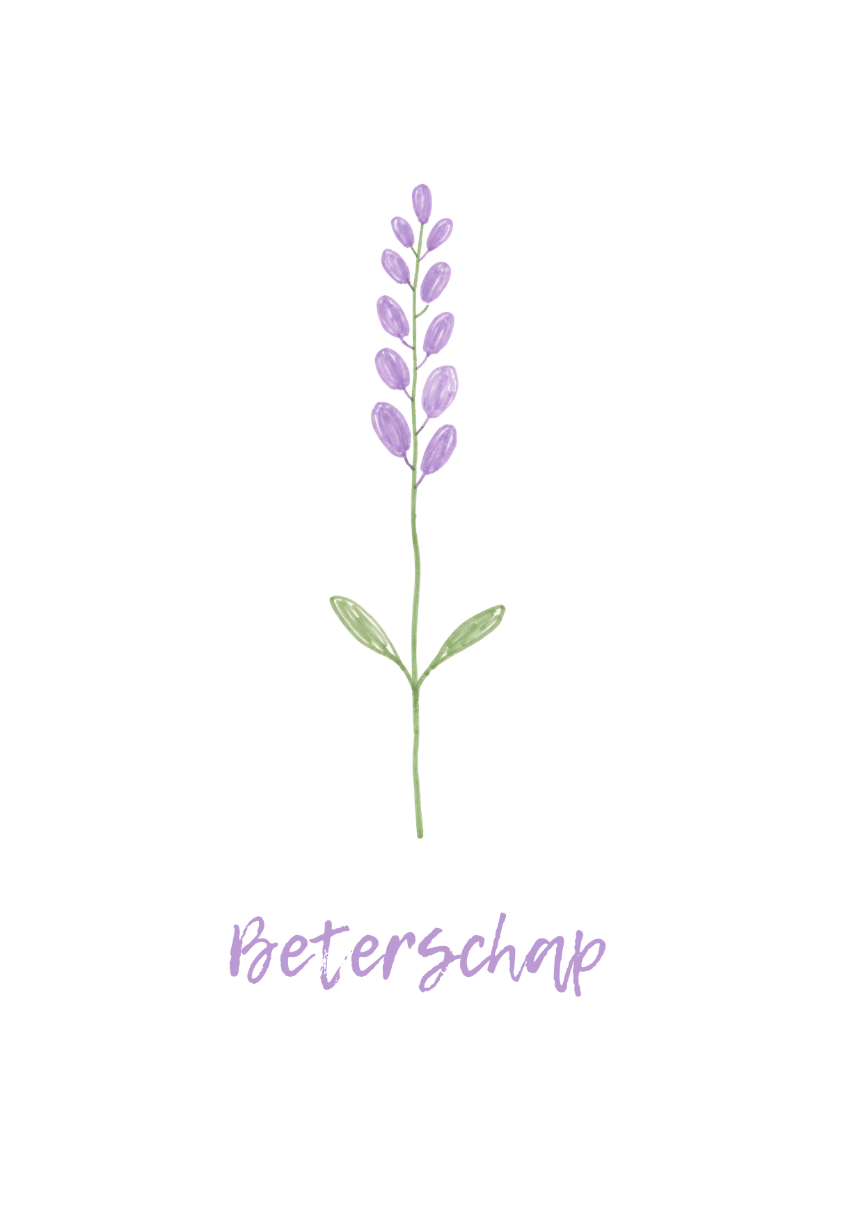 Beterschap lavendel