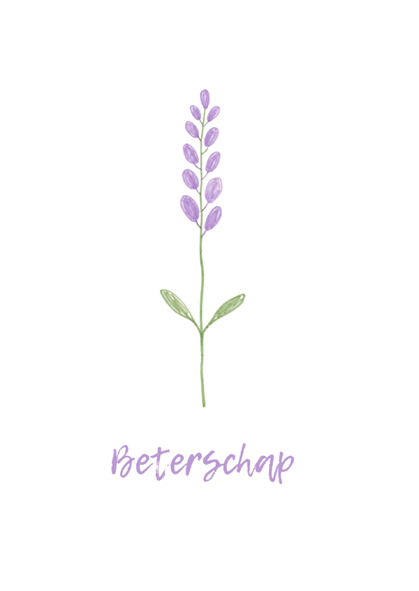 Beterschap lavendel